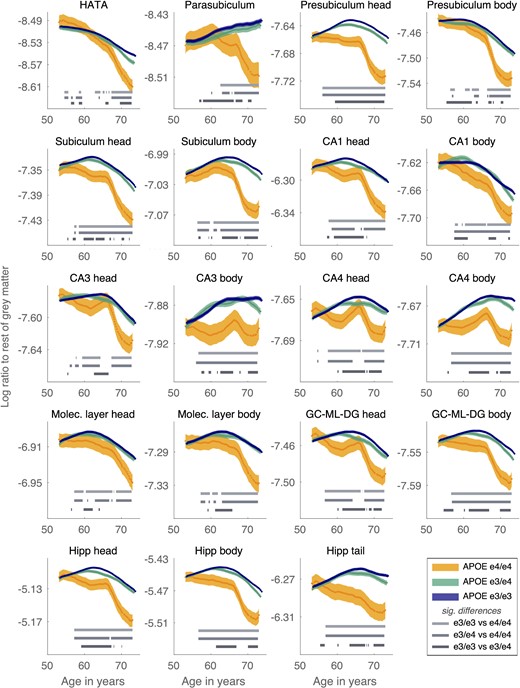 Ratio of hippocampal subfields to the rest of grey matter. A negative slope of the log ratio indicates larger volume loss relative to the rest of grey matter. For many subfields the slope becomes negative around age 65 years, which is especially pronounced in APOE e4/e4 carriers. Significant differences between the curves at P < 0.001 are shown per age window as grey horizontal bars.