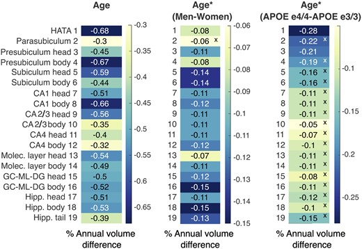 Percent annual cross-sectional volume difference for each subfield for effects of age, age-by-sex, and age-by-APOE status interactions. Normalized slopes were calculated in three separate linear models that included the effects of interest. Age had the strongest overall effects on annual volume change, followed by male sex. APOE e4/e4 status affected volume reduction beyond the effect of age only in the HATA and the presubiculum head.