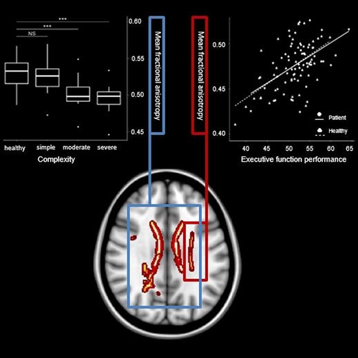 Graphical Abstract