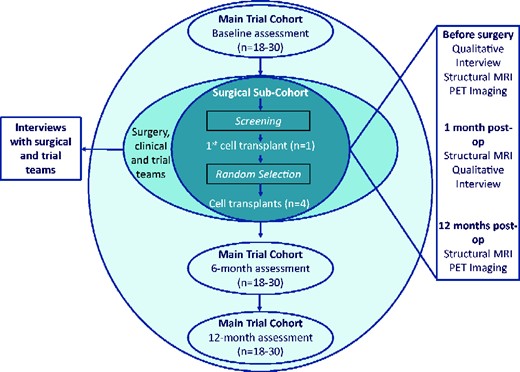 Graphical Abstract