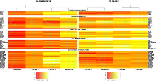 Cluster intercept and slope mean FA coefficients. The two different heat maps present the estimated mean intercept and slope for the FA Z-values over the variables that were used in the clustering. The intercept spans values between −1 and 1.5, whereas the slopes are mostly negative due to the decline in FA over time. Different colour scales are used for the slope and intercept. The values used are estimated output of the clustering model. Clusters are grouped into two pairs where clusters with most similar profiles are together (see dendrogram above heatmaps). Clusters 2 and 3 are similar in intercepts, whereas clusters 2 and 4 are similar in slopes (FA decline over time).