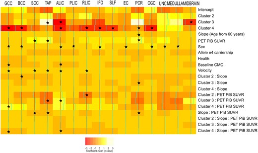 Relationship between the most discriminant WM integrity fibre tracts and the cluster characteristics. The colours here show the estimated coefficient of a multivariate multi-output mixed-effect linear regression where WM bundles are output and the different characteristics of the model are used as input. A random intercept was used to account for repeated measures. The asterisk (*) in the cells shows which effects had 95% posterior density intervals that did not include 0, which makes them significant. Reference category is cluster 1, male, non-e4 carrier at baseline. The colours in the colour bar go from red (s.d., −3) to white (s.d., +3).