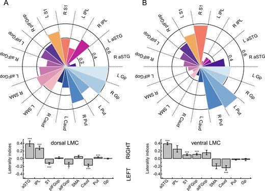 Connection probability fingerprints and hemispheric lateralization of two laryngeal motor representations. (A) Connectivity fingerprints show the likelihood (0–1) of the dLMC and the (B) ventral laryngeal motro cortex (vLMC) averaged per target region across all participants and all sessions. Bar plots indicate hemispheric lateralization at ***P < 0.001 and *P < 0.05 (Bonferroni-corrected). aSTG, anterior superior temporal gyrus; Caud, nucleus caudatus; Gp, globus pallidus; pIFGop, posterior inferior frontal gyrus pars opercularis; aIFGop, anterior inferior frontal gyrus pars opercularis; IPL, inferior parietal lobule; Put, putamen; S1, somatosensory cortex; SMA, supplementary motor area.