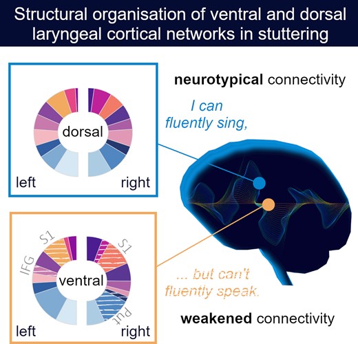 Graphical Abstract