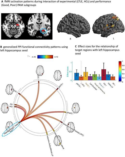 Interaction of experimental (LTLE, HCs) and performance (Good, Poor) groups. (A) Whole brain surface rendering and slices revealing significant activation resulting from interaction in two-way ANOVA on SME minus Math contrast. Factor One, Experimental Group (LTLE, HCs); Factor 2, PAM performance (Good, Poor; t-statistic PFDR corrected < 0.05, cluster level). Results highlight the areas where the SME/Math difference is significantly larger in LTLE patients compared to HCs on the PAM task. (B) FC results of gPPI using left hippocampal region emerging from the GLM interaction effect (see panel A) as seed. Seed cluster (MNI coordinates of maxima: −28 –24 −16; 103 voxels), involving the time course of the SME minus Math contrast was extracted and the generated gPPI regressor effects (gPPI_β) are displayed. Results revealed nine target regions with functional relationship of statistically significant strength with left hippocampal seed (PFDRt-statistic corrected < 0.05). (C) Bar diagram depicts effect size (mean beta weights from gPPI) for each functional relationship between the source seed (left hippocampus) and target region.