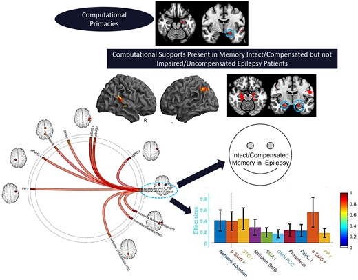 Graphical Abstract