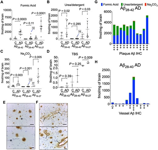 Quantitation of amyloid-β C-terminus. Scatter plots for the absolute quantitation of C-terminal Aβ28–42, Aβ28–40 and mid-domain Aβ16–27 in the (A) FA, (B) urea-detergent, (C) Na2CO3 and (D) soluble TBS fractions from 9 controls and 11 Alzheimer’s disease brains (temporal cortex). Pooled TBS homogenates (three replicates of pooled control and pooled Alzheimer’s disease) were used to estimate the Aβ28–42, Aβ28–40 and mid-domain Aβ16–27 levels. The levels of Aβ16–27 were significantly elevated in Alzheimer’s disease in all the biochemical fractions, while Aβ28–42 was significantly elevated in FA, urea-detergent and Na2CO3 fractions. No statistical alteration was found in the levels of Aβ28–40 in Alzheimer’s disease compared to controls. AD12 indicates the patient with a high Aβ28–40 level compared to others in all the amyloid-enriched biochemical fractions. Representative immunohistochemistry (IHC) images demonstrating Aβ amyloid staining in (E) typical Alzheimer’s disease plaques without any vascular amyloid (asterisk) and (F) plaques and the intima of small blood vessels (arrows) from patient AD12 with the unusually high Aβ28–40 level. Scale bar = 100 µm. (G) Total Aβ28–42 levels compared to the amyloid plaque burden and (H) total Aβ28–40 levels compared to vessel amyloid quantification from IHC. All the values are mean ± SD; significance in total Aβ28–42, Aβ28–40 and Aβ16–27 was determined by unpaired t-test with equal variance. AD = Alzheimer’s disease; C = control.