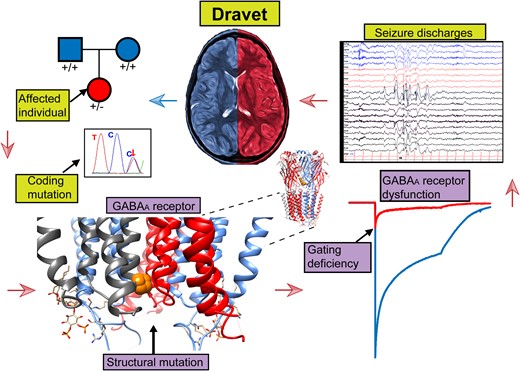 Graphical Abstract