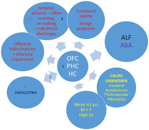 A model of TEA. Yellow text summarizes demographic and aetiological factors; the central circle highlights the limbic regions likely to contain the seizure focus; red text summarizes the key clinical features, which also include interictal memory disturbance, ALF (black) and AbA (white). The numbers refer to possible mechanisms for ALF and AbA (see main text for further discussion); the neocortex interacts with limbic regions in memory processing. HC = hippocampus; LEs = life events; OFC = orbitofrontal cortex; PHC = parahippocampal cortices (including perirhinal cortex).