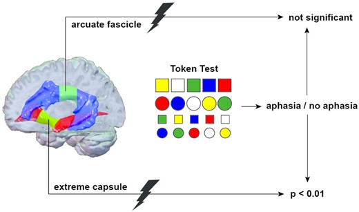 Graphical Abstract