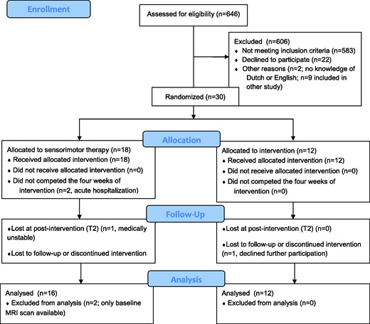 CONSORT 2010 flow diagram.