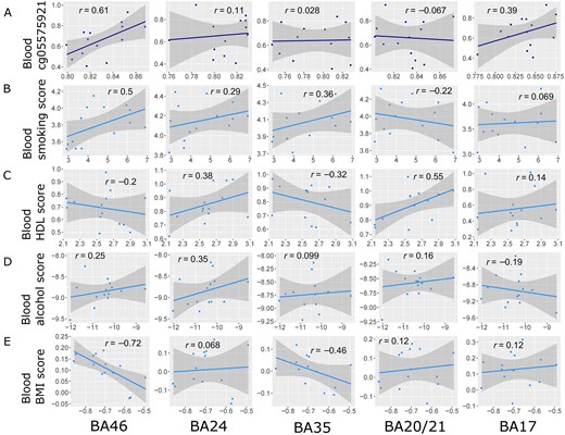 Correlations for (A) site cg05575921 (dark blue) and blood-derived lifestyle trait predictor scores for (B) smoking, (C) HDL, (D) alcohol and (E) BMI traits applied to the blood and brain (light blue). Relationships between brain DNAm and blood DNAm are shown for each brain region and measure. Each point represents one individual. Pearson correlation coefficients are annotated in each case. All individuals had both blood and brain samples available (n = 14), apart from one individual for which no BA35 hippocampal sample was available (n = 13). The solid blue line represents the linear regression slope; shaded areas represent 95% confidence intervals.