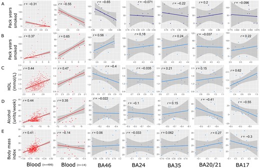 Lifestyle trait correlations with the blood DNAm measures from the reference group (up to n = 499) and the blood and brain measures for the brain bank group (n = 14). Correlations for blood measures are shown in red, with cg05575921 DNAm in dark blue and lifestyle trait scores generated from the application of blood-derived lifestyle predictors to brain in light blue. (A) DNAm at site cg05575921 is correlated with pack years smoked for the reference (n = 306) and brain bank (n = 9) groups. Correlations are then provided for each group between lifestyle trait scores for (B) smoking, (C) HDL, (D) alcohol and (E) BMI, against relevant lifestyle trait information. HDL is measured in mmol/l. Alcohol is measured in average units per week. Each point represents one individual. Pearson correlation coefficients are annotated in each case. All individuals had both blood and brain samples available (n = 14), apart from one individual for which no BA35 hippocampal sample was available. The solid blue line represents the linear regression slope; shaded areas represent 95% confidence intervals.