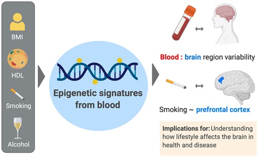 Graphical Abstract