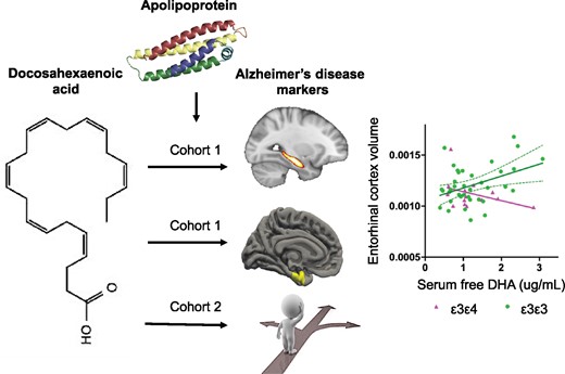 Graphical Abstract