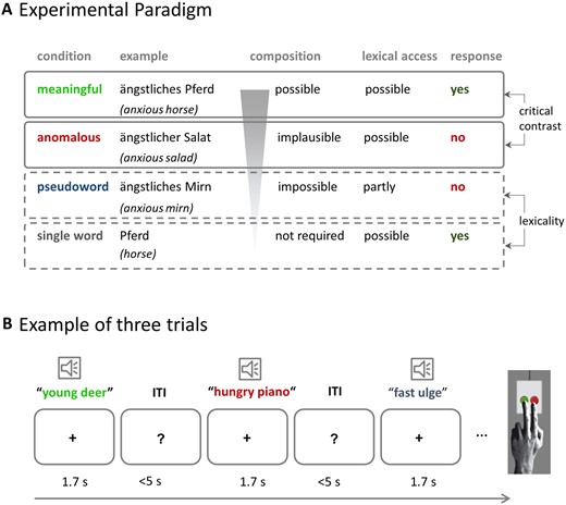 Experimental design. (A) Experimental conditions with examples, including their function in the experiment and expected responses. (The ‘partly’ for lexical access of pseudoword phrases refers to the adjective). (B) Example of three trials.