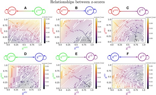 Dynamical relationships. Estimated dynamical relationships across the different z-scores (A to F). Given the values of two z-scores, the arrow at the corresponding coordinates indicates how one score evolves with respect to the other. The intensity of the arrow gives the strength of the relationship between the two scores.