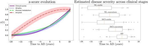 z-scores evolution and disease staging. Left: Estimated long-term latent dynamics (time is relative to conversion to Alzheimer's dementia). Shadowed areas represent the standard deviation of the average trajectory. Right: Distribution of the estimated disease severity across clinical stages, relatively to the long-term dynamics on the left. AD, Alzheimer's dementia; MCI, mild cognitive impairment; NL, normal individuals.
