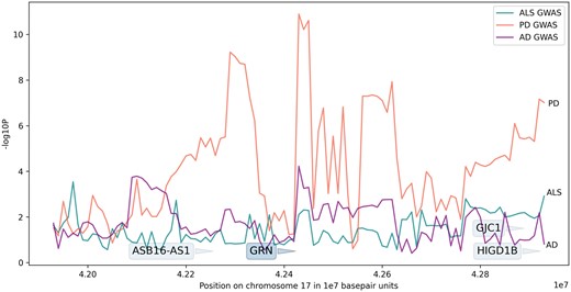 Graphical summary of SMR and GWAS analysis significance in the region per disease. To better display GWAS summary statistics, we only represent the most significant value per 10 kilobase window to avoid overplotting and improve clarity. The annotated boxes represent the SMR results for genes of interest after HEIDI filtering with some vertical spacing to avoid over-plotting. The triangle next to the gene name indicates the start of the gene. The y-axis represents negative log10 P-values for each association, the x-axis represents positions on chromosome 17 (in 1E07 base pair units).