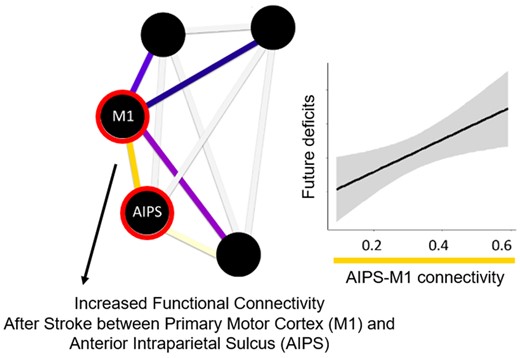 Graphical Abstract