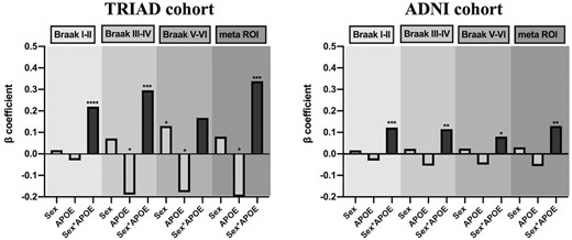 Interactive rather than the main effect of APOE and sex modulated tau load. This figure illustrates the beta-coefficients of three variables of interest in the multivariate linear regression analyses (the statistical details can be found in Table 2). The regression models were performed in 277 individuals from the TRIAD cohort, and 221 individuals from the ADNI cohort separately. TRIAD: APOE-by-sex interactive effect was significantly associated with tau burden in Braak staging I–IV ROIs and meta ROIs. ADNI: APOE-by-sex interactive effect was significantly associated with tau burden in Braak staging I–VI ROIs and meta ROIs. Age, educational attainment, clinical diagnosis and amyloid load were used as covariates in the models. ****P < 0.001, ***P < 0.005, **P < 0.01, *P < 0.05.