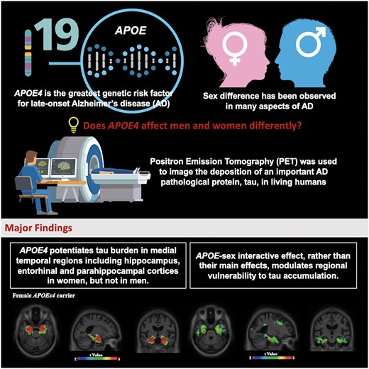 Graphical Abstract