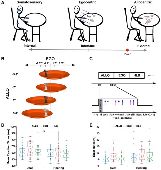 Hypothesis, experimental stimuli, paradigm and behavioural data. (A) The present hypothetical model on how the spatial reference system is biased towards the external end of the internal–external continuum by the early auditory deprivation. (B) Stimuli. The behavioural target is a fork lying on an orange plate. The luminance of the fork could be either light or dark grey. Four egocentric positions (−2.67°, −1.7°, 1.7° and 2.67°) and four allocentric positions (−3.6°, −2°, 2° and 3.6°) were orthogonally crossed. (C) Experimental paradigm and design. Three types of task blocks (ALLO, EGO and HLB) were randomly alternated without any rest blocks. Each block started with a 3.3s’ instruction. An event-related design was embedded within each block: experimental trials were intermixed with null trials (only a default blank screen) and the ITIs were adequately jittered. (D) Mean RTs and (E) error rates are shown as a function of the three types of tasks in each group, just for demonstration purposes without further statistical analyses. The asterisk indicates a statistically significant between-group difference in the GLMM analysis, P < 0.05.