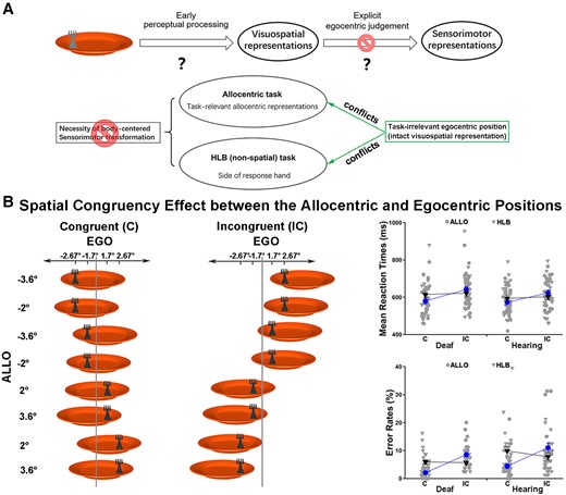 Further analysis of the behavioural data on whether the fidelity of visuospatial representation of the egocentric positions or the explicit body-centred sensorimotor transformation is impaired by congenital deafness. (A) Hypothesis and predictions. (B) Spatial congruency effect between the allocentric and egocentric positions. Left panel: the fork’s allocentric and egocentric position could be either congruent (both left or both right) or incongruent (one left and one right). All the possible stimulus combinations in the congruent versus incongruent condition were shown for the dark grey fork as an example. For demonstration purposes, the mean RTs (top) (congruent versus incongruent: ALLO, z < −11.5, P < 0.001; HLB, χ2 < 2.5, p > 0.05, GLMM) and error rates (bottom) (congruent versus incongruent: ALLO, z > 7.5, P < 0.001; HLB, χ2 < 3.5, p > 0.05, GLMM) are shown as a function of the congruent versus incongruent condition in both groups’ allocentric and HLB tasks (right panel).