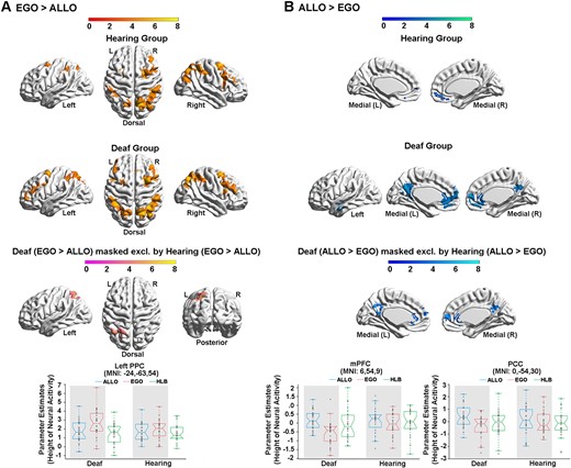 Neural correlates underlying the allocentric and egocentric reference frame in the deaf and hearing groups. (A) The neural contrast ‘EGO > ALLO’ was calculated in the hearing (top) and deaf (middle) group, respectively. Bottom panel: the left PPC in the FPN showed significantly higher neural activity in the egocentric than the allocentric task, specifically in the deaf group. (B) The neural contrast ‘ALLO > EGO’ was calculated in the hearing (top) and deaf (middle) group, respectively. Bottom panel: the mPFC in the DMN was significantly deactivated in the egocentric task, specifically in the deaf group (left). The PCC in the DMN showed significantly activated in the allocentric task, specifically in the deaf group (right). The mean parameter estimates in the three tasks were extracted from the left PPC, the mPFC and the PCC for both groups, no further statistical tests were performed to avoid double-dipping. The shaded conditions are the conditions involved in the neural contrast.