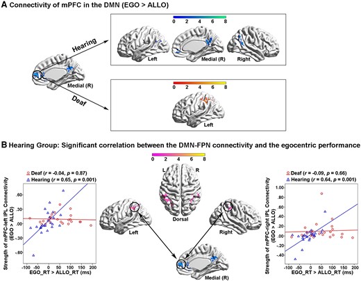 PPI analysis with the mPFC in the task-negative DMN as the seed region. (A) Top panel: in the hearing group, mPFC in the DMN showed significantly increased functional connectivity with the other subregions in the DMN, specifically during the egocentric task, compared with the allocentric task. Bottom panel: in the deaf group, mPFC in the DMN showed significantly increased functional connectivity with the left IPL in the FPN. (B) In the hearing group, the inter-network connectivity between the mPFC in the DMN and the bilateral IPL in the FPN was significantly positively correlated with the egocentric performance (EGO_RT > ALLO_RT). The stronger the inter-network connectivity between the DMN and the FPN during the egocentric task, the slower the egocentric judgements. This correlation was not significant in the deaf group.