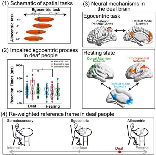 Graphical abstract