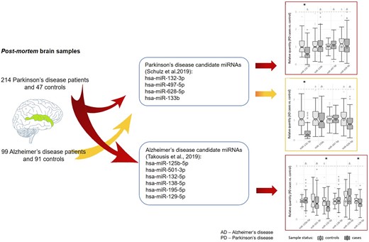 Graphical Abstract