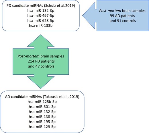 Overview of the study design. PD, Parkinson’s disease; AD, Alzheimer’s disease.