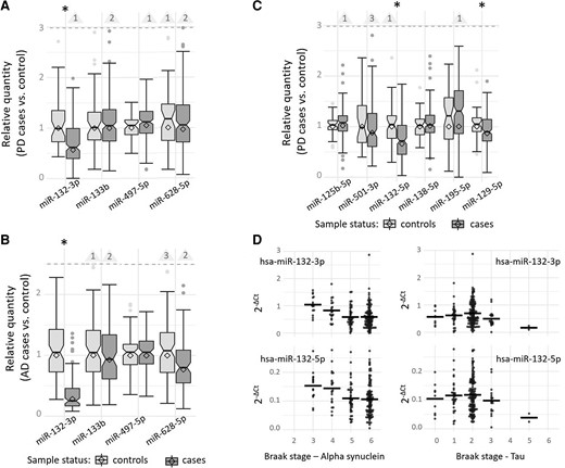 Expression of candidate miRNAs in brain samples of Parkinson’s disease and Alzheimer’s disease patients versus controls and dependent on the neuropathological α-synuclein and tau Braak staging. This box and whisker plots display the relative quantity of Parkinson’s disease candidate miRNAs in post-mortem brain samples of the STG of 214 Parkinson’s disease patients versus 47 controls (A), the relative quantity of Parkinson’s disease candidate miRNAs in post-mortem brain samples of 99 Alzheimer’s disease patients versus 91 controls (B), and the relative quantity of Alzheimer’s disease candidate miRNAs in post-mortem brain samples of the STG of 214 Parkinson’s disease patients versus 47 controls (C). Differential gene expression was analysed using a GLM adjusting for RIN, age at death, PMIs and sex. The relative quantity of miRNA expression was calculated using the ΔΔCt method; diamonds represent the mean expression (cases relative to controls) based on the ΔΔCt method (relativequantity=2(−(dCtcases–dCtcontrols))). Horizontal lines represent median values of the corresponding sample-specific values (individual dCt values normalized to the mean of the control samples), boxes represent IQRs and whiskers extend to the maximum observed value within 1.5 × the IQR; values outside this range but below the dashed line are depicted as dots. Outliers exceeding the dashed line are not shown (for scaling purposes) but counted and indicated by the numbers in the triangles. The box notches indicate the corresponding 95% confidence intervals (CIs). *Nominally statistically significant difference (α = 0.05). (D) This plot displays the gene expression of hsa-miR-132-3p and hsa-miR-132-5p normalized to endogenous control assay (dCt) dependent on α-synuclein and tau Braak staging in post-mortem brain samples of 213 Parkinson’s disease patients utilizing a GLM adjusting for RIN, age at death, PMIs and sex. Horizontal lines indicate the mean of the group.