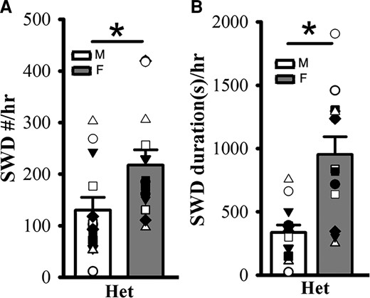 Female het Gabrg2+/Q390X KI mice exhibit more seizure incidence than male het Gabrg2+/Q390X KI mice. Panels A/B show summary SWD incidence and duration data from male (M, blank) and female (F, filled) het Gabrg2+/Q390X KI mice, with male and female het KI mice (n = 13 each). * indicates t-test significance with P < 0.05.
