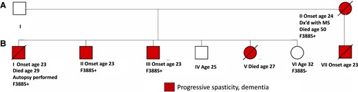 Pedigree showing affected persons and demonstrating co-segregation of the F388S PSEN1 substitution with the disease. All family members presented at age 23 or 24 with difficulty walking due to leg stiffness progressing to being wheelchair bound with diffuse spasticity, dysarthria and dementia.