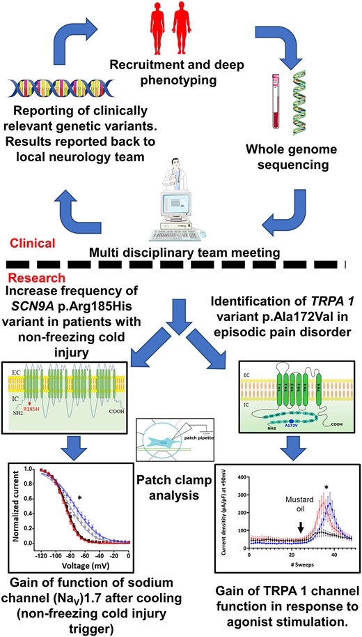 Graphical abstract