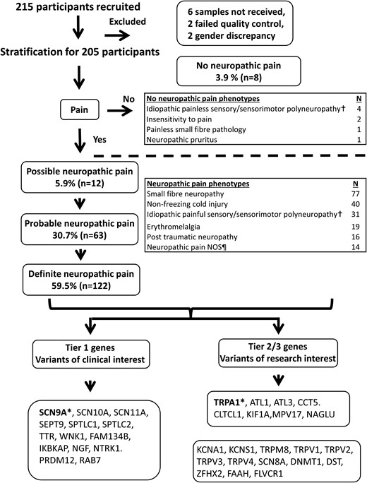 Flow diagram outlining neuropathic pain grading, study participant recruitment and summary of study participant clinical phenotype. Ten participants were excluded due to either samples not received, quality control failures or gender discrepancies. †Included cases of longstanding progressive neuropathies where the presenting or predominant feature altered sensory function and an underlying cause could not be identified. ¶Include cases of post herpetic neuralgia, episodic pain syndromes, neuropathic pain with plausible neuroanatomical distribution but no abnormalities on examination and specialized tests, leprosy, hereditary neuralgic amyotrophy, type 1 complex regional pain syndrome, Noonan syndrome, injury to left arm (these cases were included due to severe pain which was in excess of the inciting injury). *Genes selected for electrophysiological characterization. NOS, not otherwise specified.