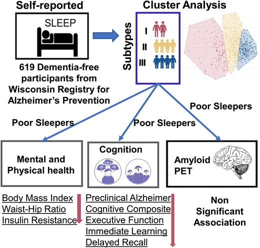 Graphical Abstract