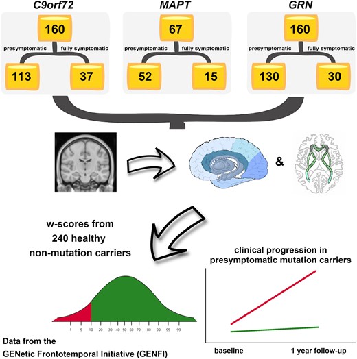 Graphical abstract