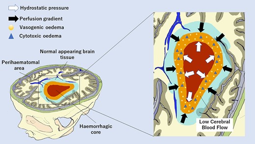 Graphical Abstract
