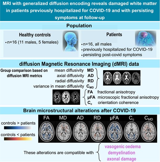 最新のMRI技術でCOVID-19後の脳の変化を検出(Advanced MRI technology detects changes in the brain after COVID-19) 最新のMRI技術でCOVID-19後の脳の変化を検出(Advanced MRI technology detects changes in the brain after COVID-19)