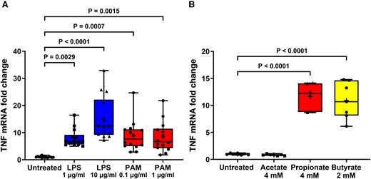 TLR and FFA2/3 agonists increase TNF transcription in STC-1 cells. LPS, PAM and SCFA treatment of STC-1 cells significantly increased the amount of TNF mRNA. (A) Stimulation of STC-1 cells for 24 h with LPS or PAM increased TNF mRNA. (B) Stimulation of STC-1 cells with 4 mM acetate had no effect on TNF mRNA, whereas 4 mM propionate and 2 mM butyrate increased TNF mRNA. Data are presented as box (25th and 75th percentiles) and whisker (5th and 95th percentiles), median (line) and mean (+) with all data points shown. Each data point represents triplicate or duplicate analysis of total RNA extracted from a well of a 12-well cell culture plate expressed as fold change of TNF mRNA compared with untreated cells normalized to β-actin using the 2−ΔΔCT method. Data were analysed by one-way ANOVA and post hoc Tukey’s multiple comparison test.