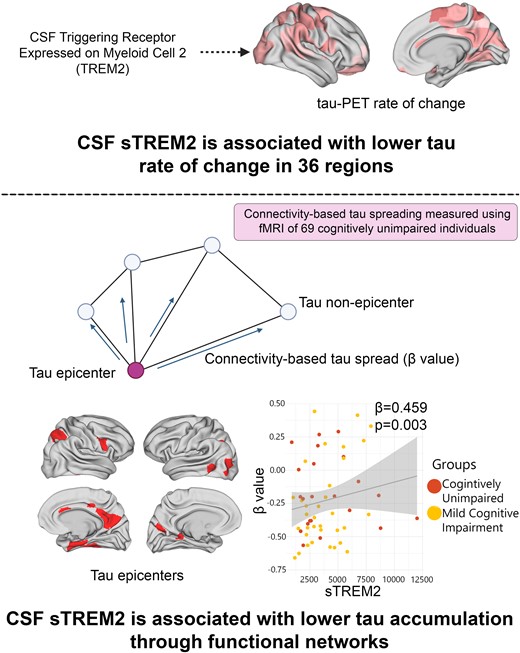 Graphical Abstract