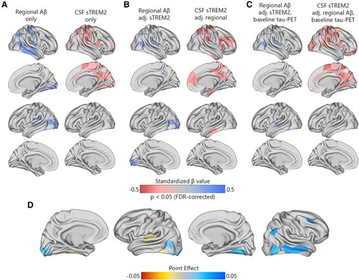 Regional Aβ-PET and CSF sTREM2 associations with regional tau-PET rate of change in Aβ-positive non-demented participants. (A) The standardized beta coefficient of local Aβ-PET in brain regions where the regional Aβ-PET SUVR (left column) is associated with the regional tau-PET rate of change, while adjusted for the effects of age and sex. The right columns present a similar model, but using CSF sTREM2 as a predictor instead of Aβ-PET. (B) The standardized beta coefficient of local Aβ-PET (left column) and CSF sTREM2 in regions associated with the regional tau-PET rate of change while adjusted for Aβ-PET, CSF sTREM2, age and sex. (C) Similar visualization to (B) while additionally adjusted for regional baseline tau-PET SUVR. (D) The mediating effect of CSF sTREM2 on local Aβ-related accumulation of local tau aggregates. The mediation models were performed region-wise, and the point effects are visualized on the brains.