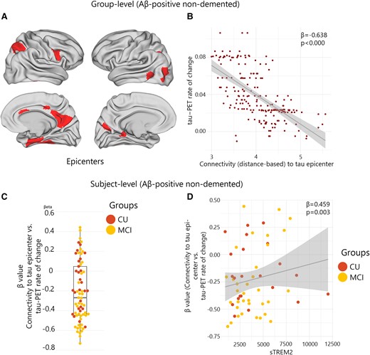 Group and subject level connectivity-based associations of the tau-PET rate of change over time and CSF sTREM2 in Aβ-positive non-demented participants. (A and B) Results of the group-level analysis that investigated the association between connectivity to the tau epicentres, as visualized on glass brains, and tau-PET rate of change across the entire brain. Each dot represents a distinct brain region. Regions that are more functionally closer to the epicentres exhibit a higher rate of tau-PET accumulation. (C) At the individual level, the same approach as (A and B) was used. The box plot displays the individual β-value resulting from the correlation analysis between the rate of change in tau-PET and the connectivity-based distance to epicentres across all brain regions. (D) Scatter plot demonstrating the correlation between CSF sTREM2 and the β-values of connectivity between epicentres and tau-PET rate of change adjusting for age, sex and global Aβ-PET. Each dot on the graph represents a unique individual. Our findings reveal a positive association, indicating that higher CSF sTREM2 levels are correlated to a decrease in tau-PET change in regions that are more functionally connected to epicentres. CN, control normal; MCI, mild cognitive impairment.
