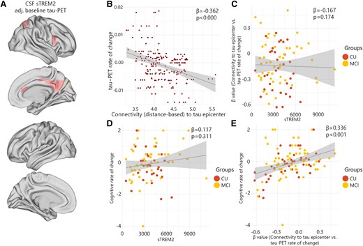 CSF sTREM2 associations with the regional tau-PET rate of change in Aβ-negative non-demented participants. (A) The standardized beta coefficient of CSF sTREM2 in brain regions where the CSF sTREM2 is associated with the regional tau-PET rate of change, while adjusted for the effects of age, sex and baseline tau-PET. (B–E) Scatter plots of associations adjusting for age and sex change in Aβ-negative non-demented participants. (B) Group-level analysis of the association between connectivity to the tau epicentres and tau-PET rate of change across the entire brain. (C) Association between β-values of connectivity between epicentres and tau-PET rate of change and CSF sTREM2 in Aβ-negative non-demented participants. (D) Association between CSF sTREM2 and cognitive rate of change. (E) Association between β-values of connectivity between epicentres and tau-PET rate of change and cognitive rate of change in Aβ-negative non-demented participants.