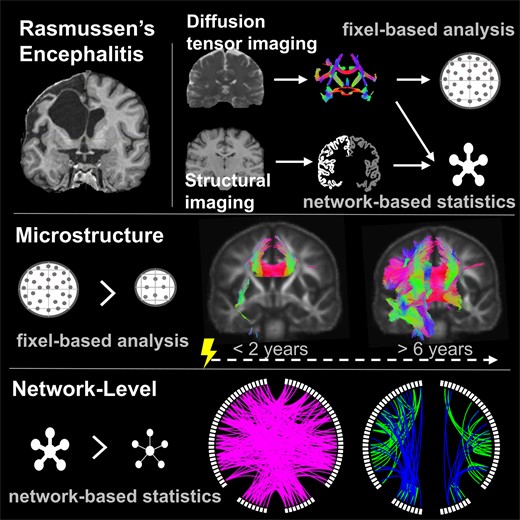 Graphical Abstract