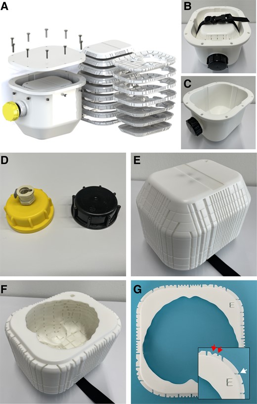 Brainbox setup. The MRI-compatible Brainbox: exploded (A) and assembled view (B). Titanium screws are used to seal the lid. The Brainbox comprises two main parts: first, a watertight tank (outer compartment, (C) with an aperture at the front end, for filling or emptying the tank with medium, e.g. water or formalin. The aperture can either be closed using a lid with a vacuum valve for degassing of the specimen (not MRI-compatible) or a standard MRI-compatible lid (D). The second part is an inlet holding the brain (brain holder, inner compartment, E and F). The brain holder can be inserted or removed from the thank with help of a plastic belt with a buckle. This brain holder consists of 16 stackable elements arranged in axial orientation, each with standardized thickness and with an imprinted 3-D coordinate system, identifiable on each individual element (G, with inlet showing a higher magnification). The elements have countable and uniquely identifiable indents in X and Y direction (top/red arrows) as well as a Roman letter in Z direction. The elements also have guiding grooves for facilitating cutting using a brain knife (bottom/white arrow). Abbreviations: MRI, magnetic resonance imaging.