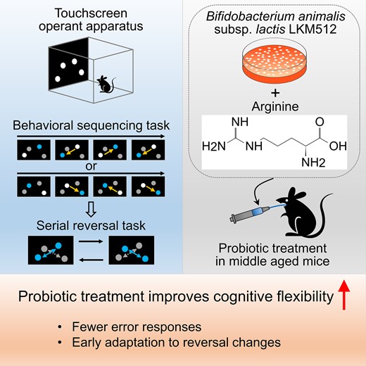 Graphical Abstract